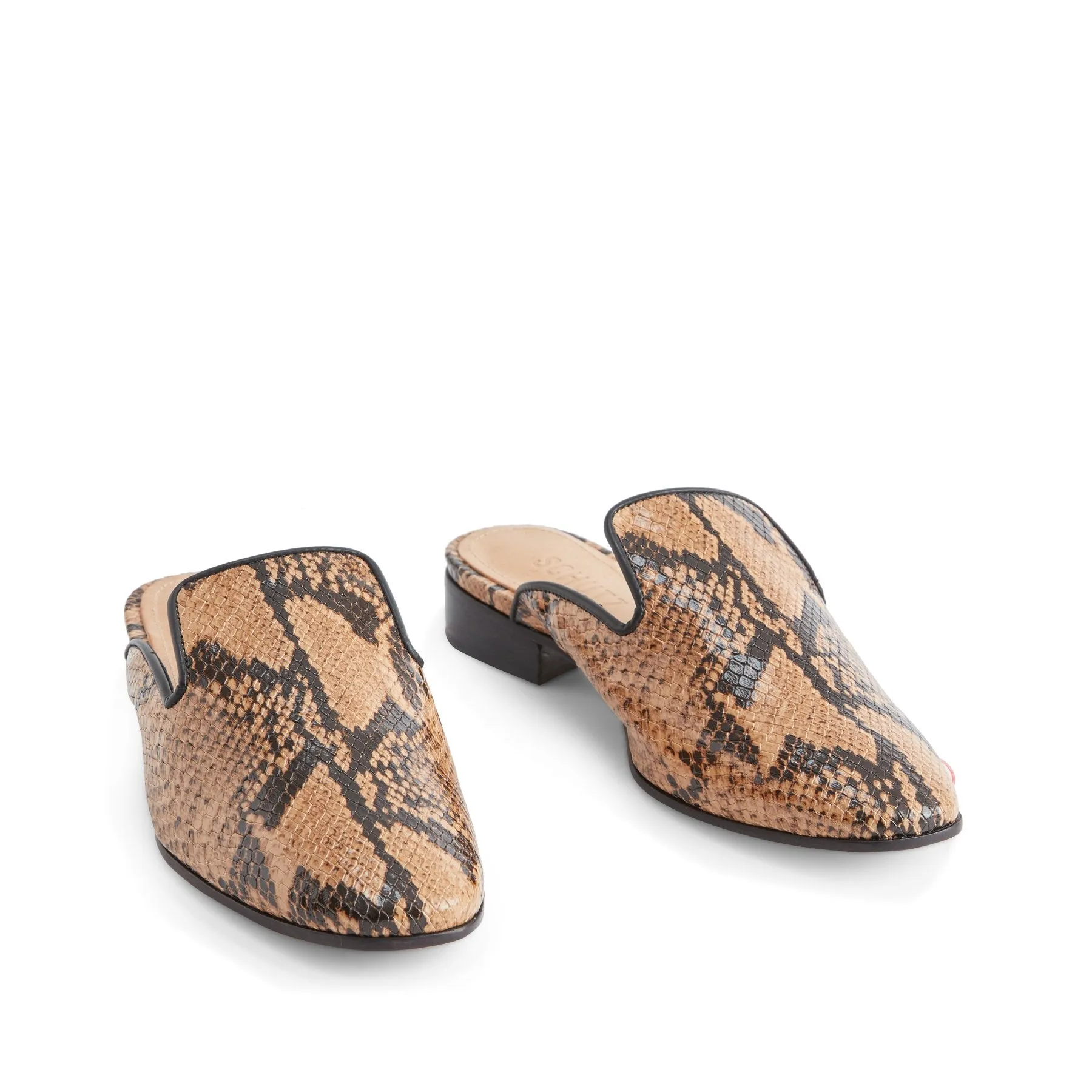 Claudia Mule