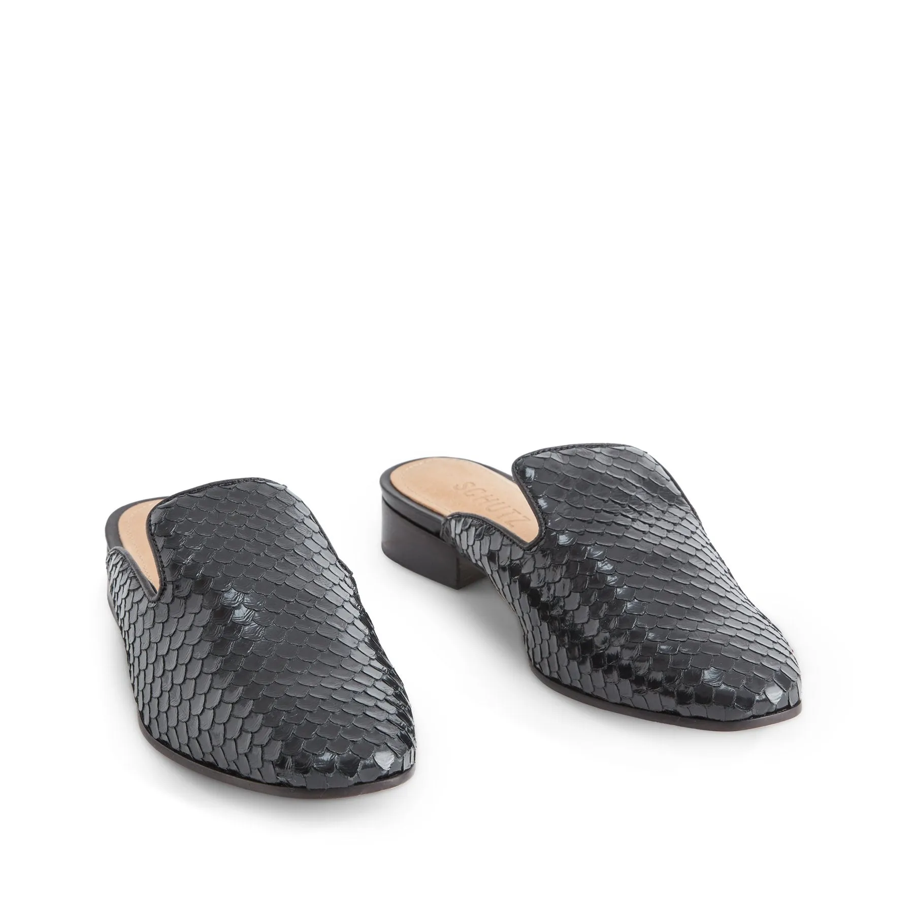 Claudia Mule