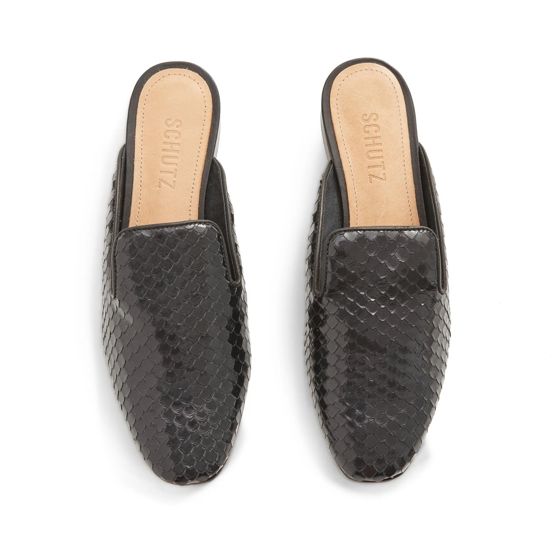 Claudia Mule